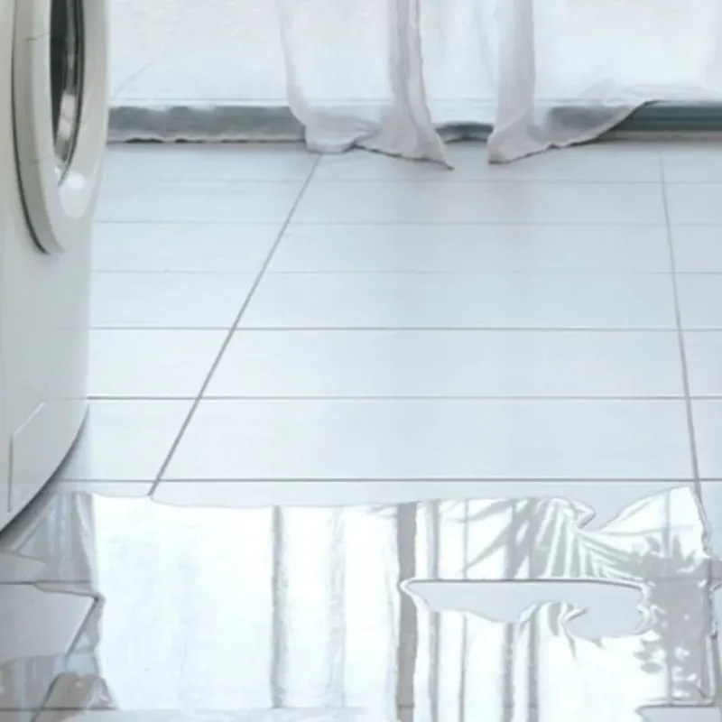 Appliance Leak Cleanup in New Century KS, KS